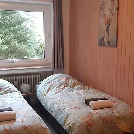 Nordenau Apartmán *