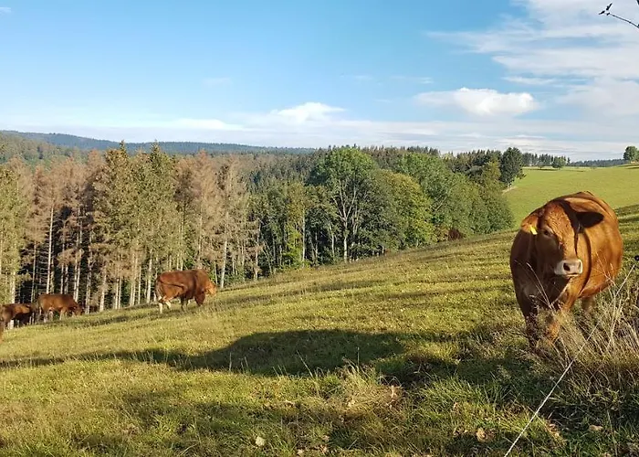 Nordenau * Schmallenberg